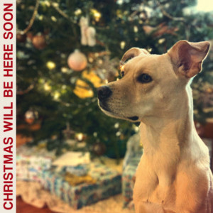 Listen to Christmas Will Be Here Soon song with lyrics from Teenage Kicks