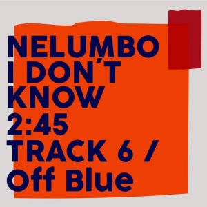 ดาวน์โหลดและฟังเพลง I Don't Know พร้อมเนื้อเพลงจาก Nelumbo