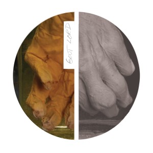 Lydia Laska的專輯Gout Lord (Terje Sæther Remix)