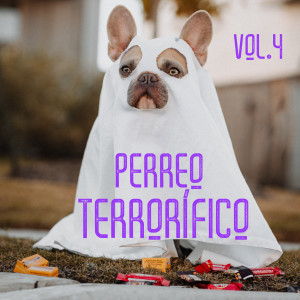 Various的專輯Perreo Terrorífico Vol. 4 (Explicit)