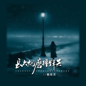 Album 长大就磨掉锋芒（DJBanan吉特巴版） oleh 魏佳艺