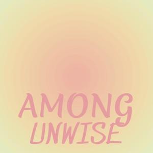 Various的专辑Among Unwise