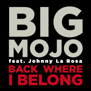 收聽Big Mojo的Back Where I Belong (feat. Johnny La Rosa) (DJ Tools)歌詞歌曲