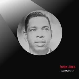 Dengarkan Please Find My Baby lagu dari Elmore James dengan lirik