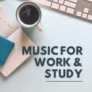 Concentration Music for Work的专辑Music for Work and Study