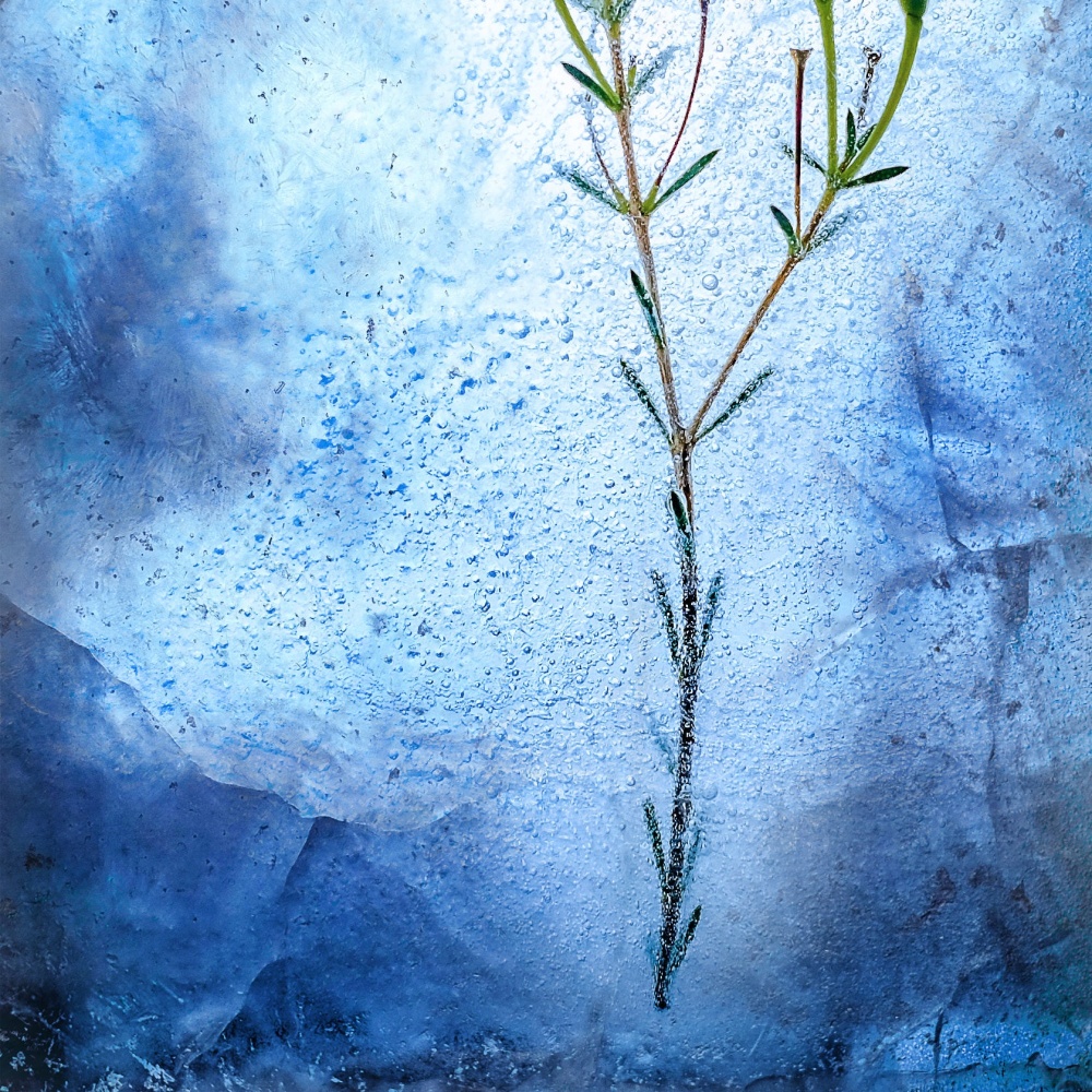 Ice Grave