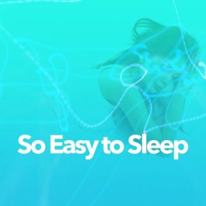 收聽Easy Sleep Music的Waterfall歌詞歌曲