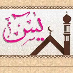 ดาวน์โหลดและฟังเพลง سورة يس พร้อมเนื้อเพลงจาก بدر القريشي