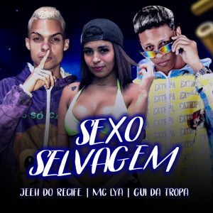 收聽Mc Jeeh Do Recife的Sexo Selvagem歌詞歌曲