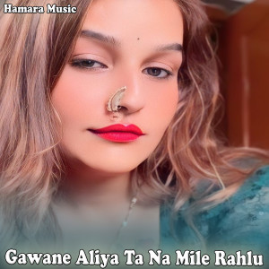 Album Gawane Aliya Ta Na Mile Rahlu from Sanjay Paswan