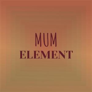 Various Artists的專輯Mum Element