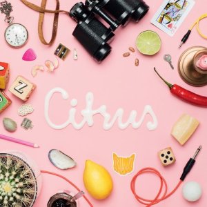 收聽Animal Daydream的Citrus歌詞歌曲