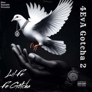 Listen to Bringing 90s Back (Explicit) song with lyrics from Fe Gotcha