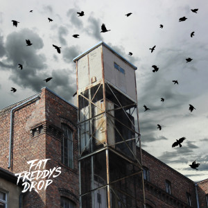 Album Blackbird Returns from Fat Freddy's Drop