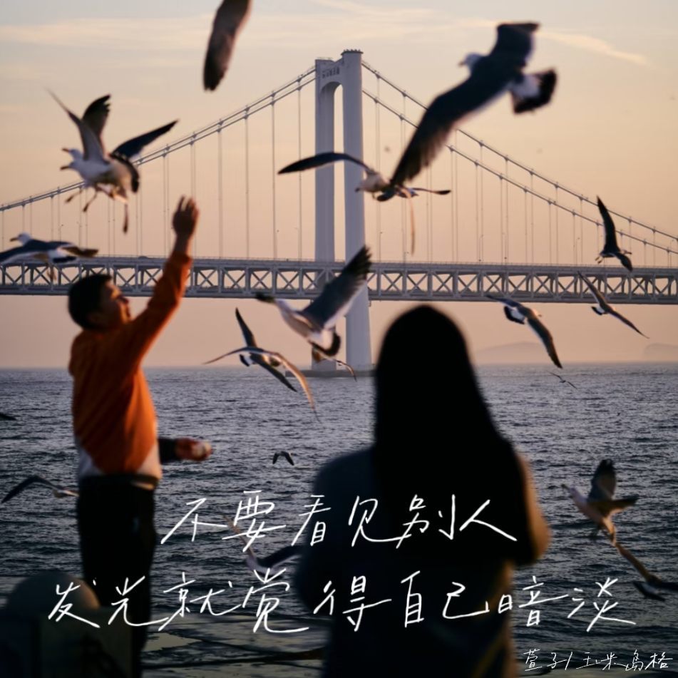 不要看见别人发光就觉得自己暗淡