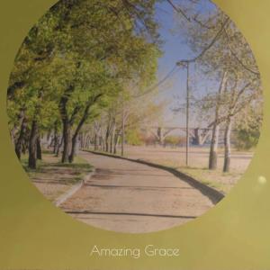 Silvia Natiello-Spiller的专辑Amazing Grace