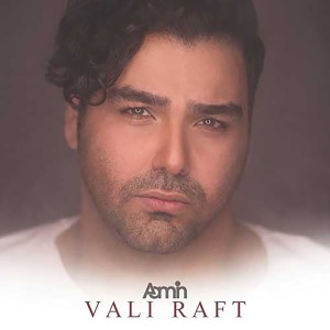 Listen to Vali Raft song with lyrics from Aamin