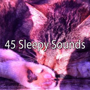 Ocean Sounds Collection的专辑45 Sleepy Sounds
