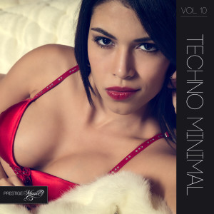 Album Techno Minimal, Vol. 10 from Various