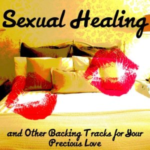 收聽The Retro Spectres的Sexual Healing (Instrumental)歌詞歌曲