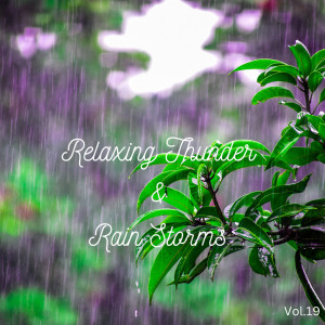 Lightning, Thunder and Rain Storm的专辑Relaxing Thunder and Rain Storm Vol.19