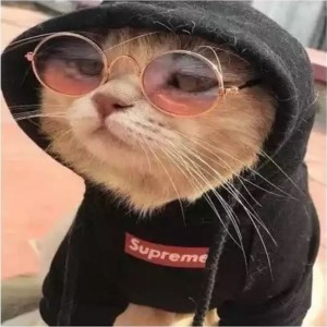 收聽xkewuh的XCO FREESTYLE歌詞歌曲