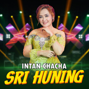 Listen to Sri Huning song with lyrics from Intan Chacha