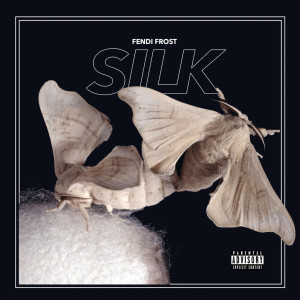 Fendi Frost的專輯Silk (Explicit)
