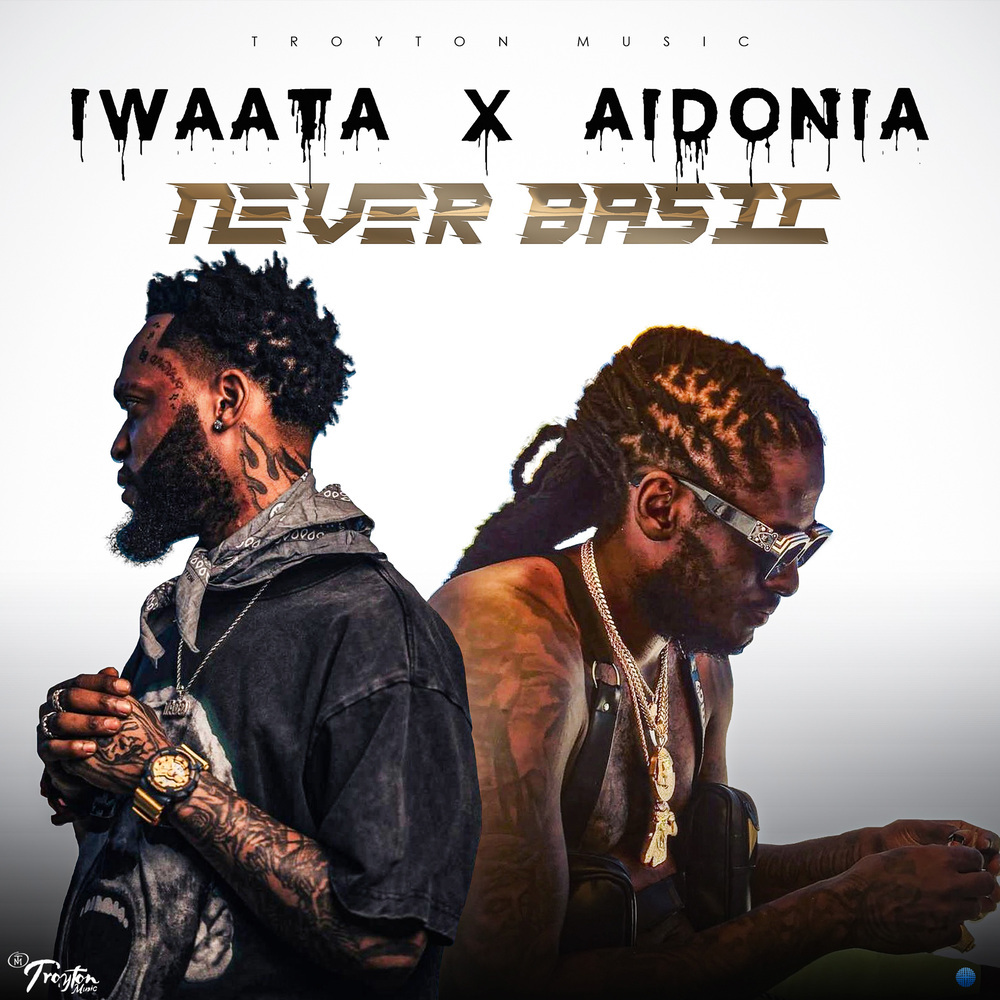 Never Basic (Radio Edit)