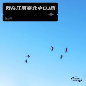 Album 我在江南塞北中DJ版 from 陆小刚