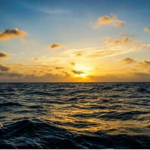 Dengarkan Peace lagu dari Lil Kennedy dengan lirik