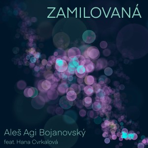 Listen to Zamilovaná song with lyrics from Aleš Agi Bojanovský