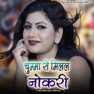 Album Chumma Se Milal Nokari from Vijay Vimal Yadav