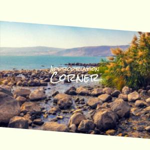 Listen to Purport See song with lyrics from Ania Todi