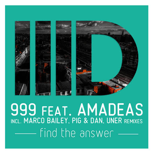 Find the Answer (Pig & Dan Remix)