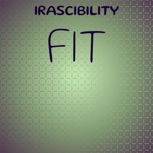 Various Artists的專輯Irascibility Fit