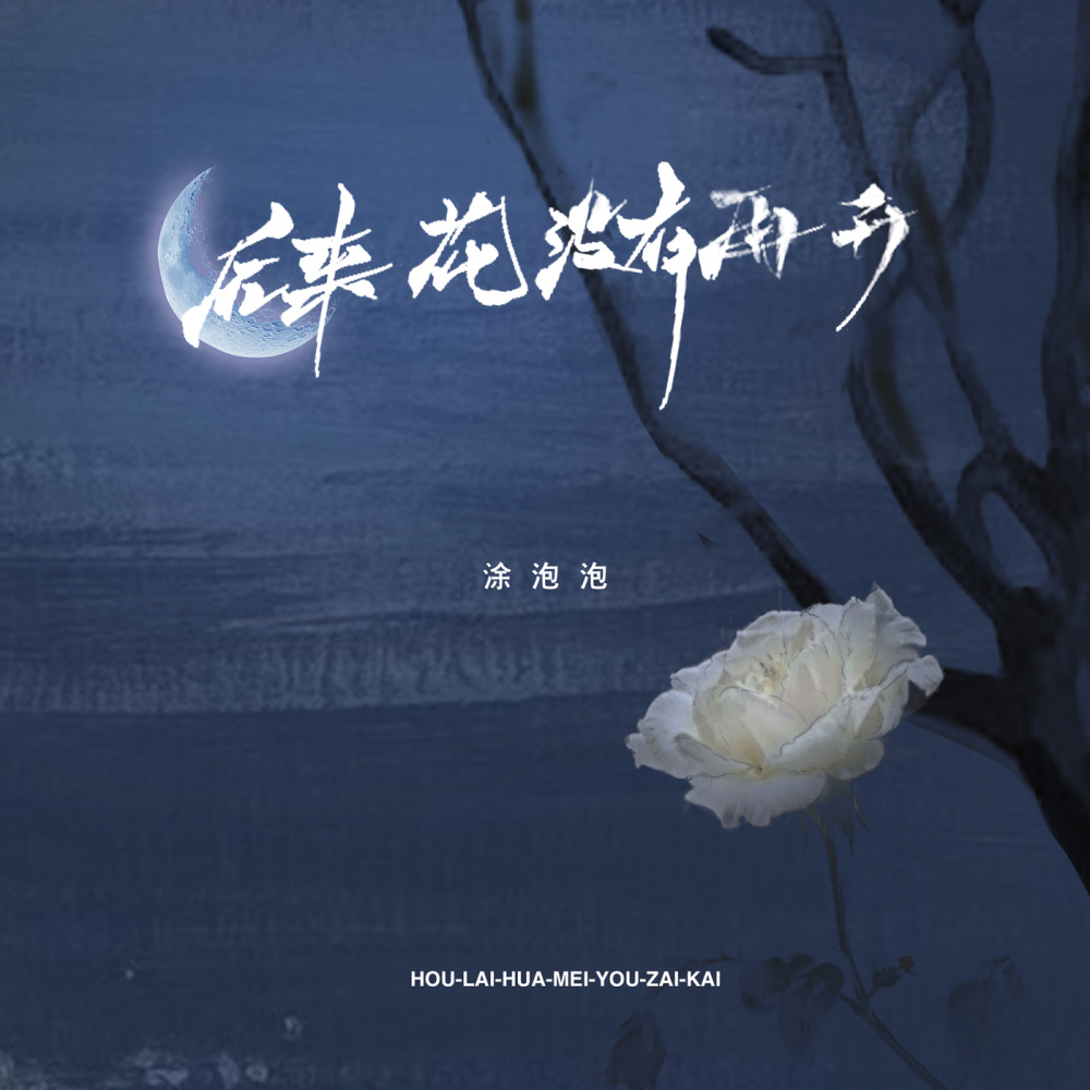 后来花没有再开 (伴奏)