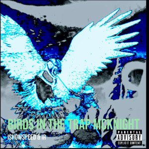 Listen to Birds in the Trap McKnight (Explicit) song with lyrics from IShowSpeed