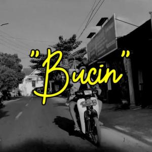 Album Bucin from 