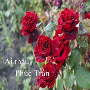 Listen to Ai thấu 1 song with lyrics from Phúc Trần