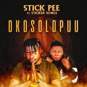 Album Okosolopuu from Stick Pee