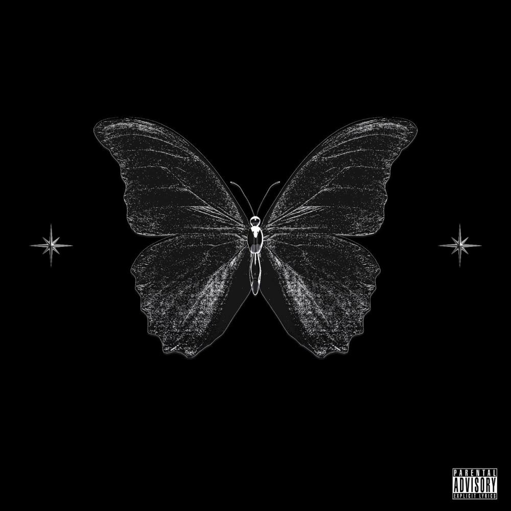 BUTTERFLIES (Explicit)