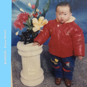 Listen to 伤心2020 song with lyrics from PeaceHotel和平饭店