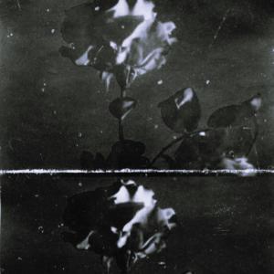 Dengarkan Noir. lagu dari JOIE dengan lirik