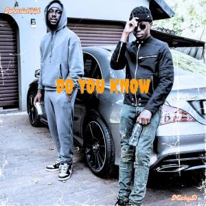 JohnRichKid的專輯Do you know (feat. MickyD) [Explicit]