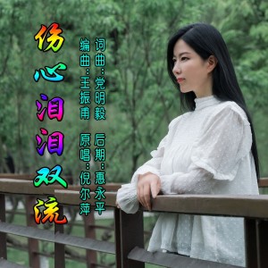 Album 伤心泪泪双流 from 倪尔萍