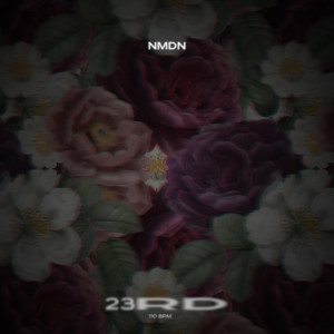 收听NMDN的23rd歌词歌曲