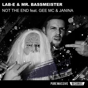 Album Not the End (feat. Gee MC & Janina) from 