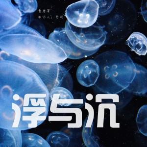 Album 浮与沉 from 寿延Ashes