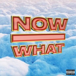 ดาวน์โหลดและฟังเพลง Now What (Explicit) พร้อมเนื้อเพลงจาก DharmaRat